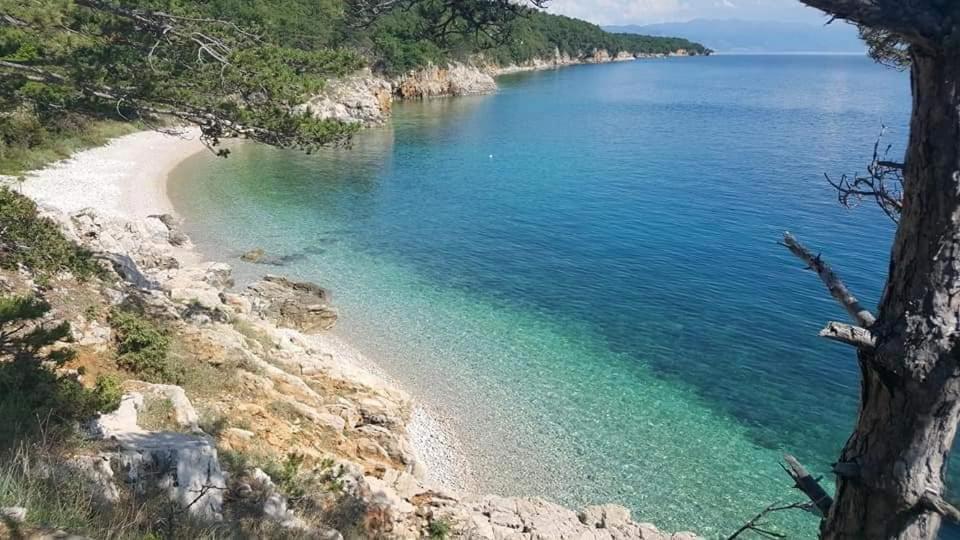 Apartments Adriatic 3 Селце Екстериор снимка